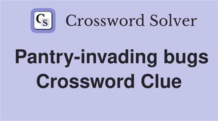 Pantry-raiding bugs Crossword Clue