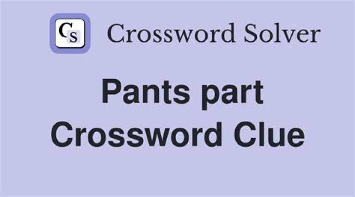 ___ pants Crossword Clue