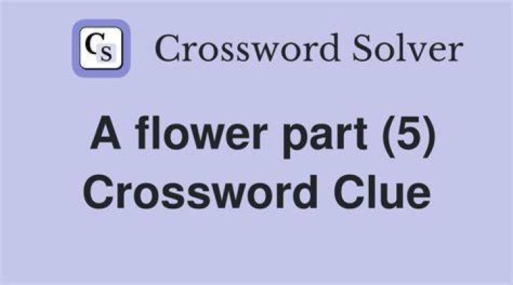 Part 5 Crossword Clue