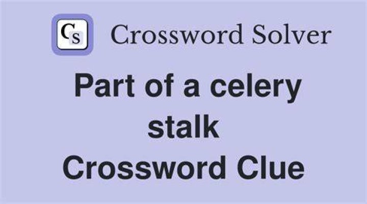 Part of FiOS Crossword Clue
