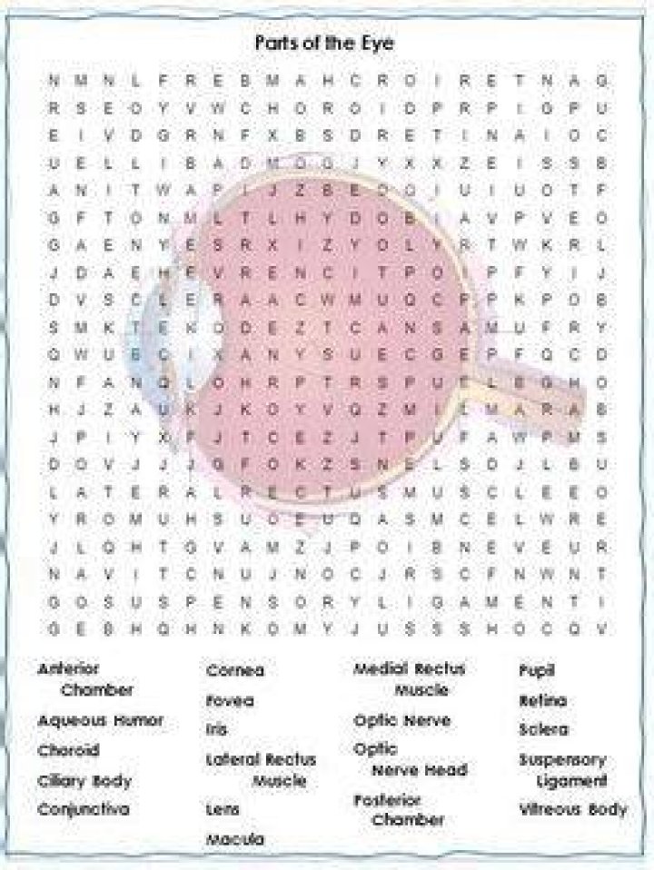 Part of the eye Crossword Clue