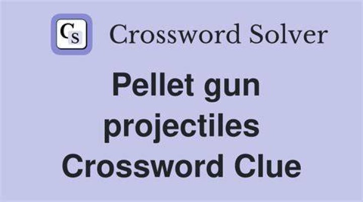 Pellet shooter Crossword Clue