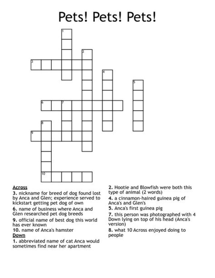 Pet Crossword Clue