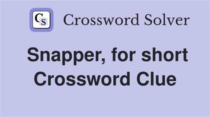 Picture snapper Crossword Clue