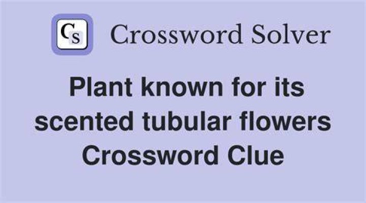 Plant in some juices and lotions Crossword Clue