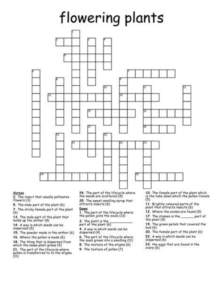 Plant on a trellis Crossword Clue
