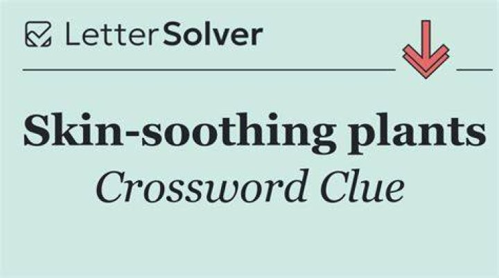 Plants that yield a soothing gel Crossword Clue