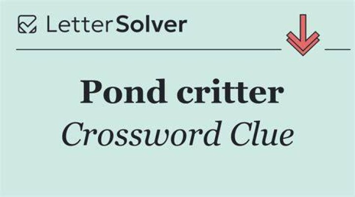 Pond critter Crossword Clue
