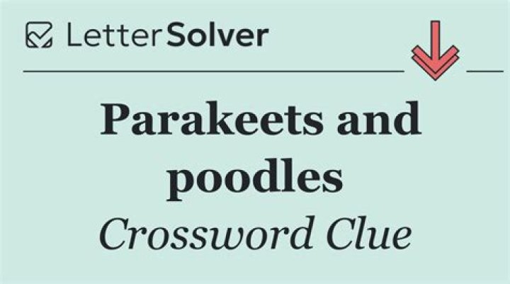 Poodles, but not schnoodles or doodles Crossword Clue