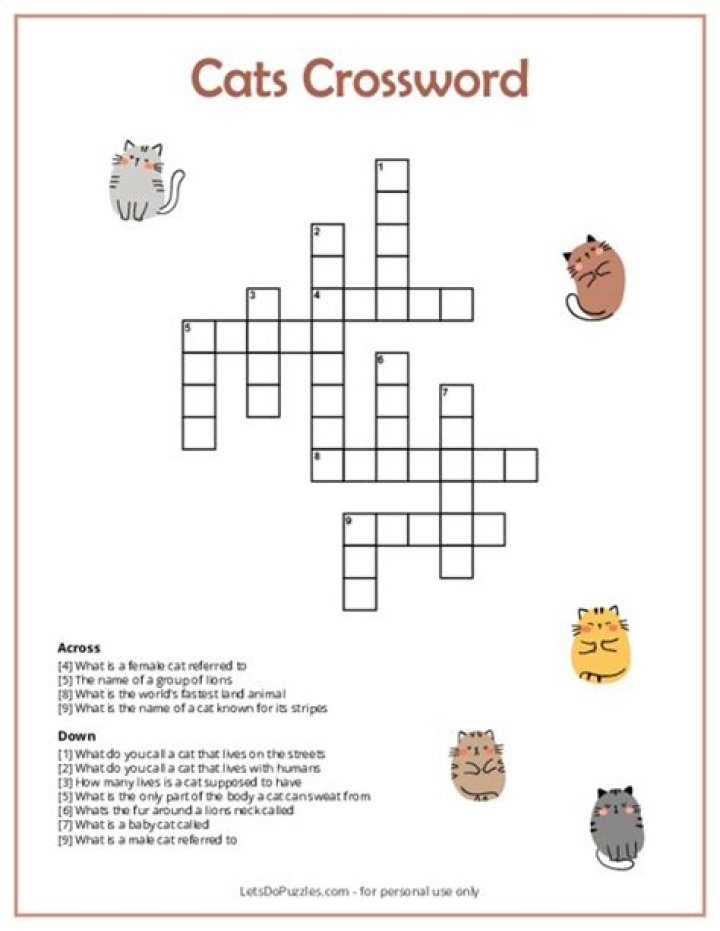 Prime bird-watching spots for indoor cats Crossword Clue