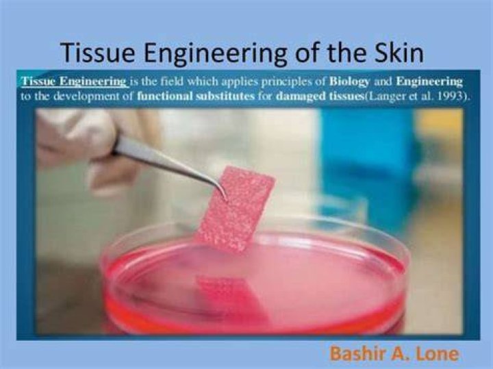 Product of tissue engineering, such as artificial skin Crossword Clue