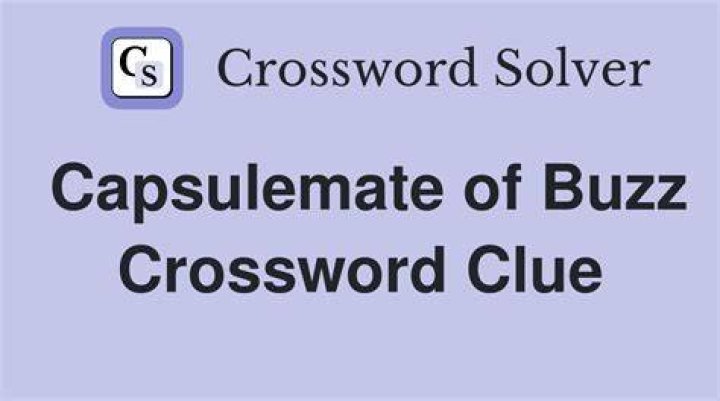 Promotional buzz Crossword Clue