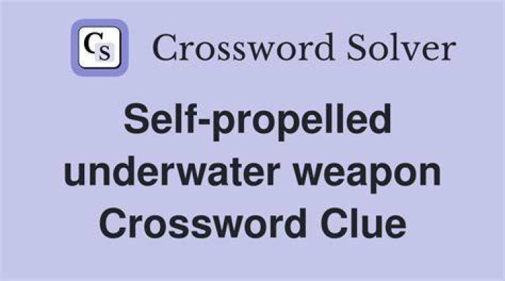 Propelled oneself on skis Crossword Clue