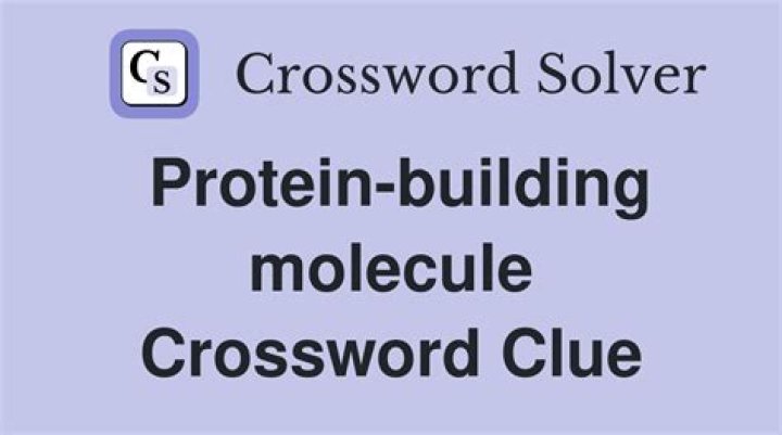Protein-mimicking molecule Crossword Clue