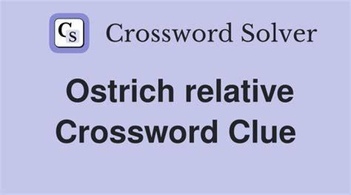 Relative of an ostrich Crossword Clue