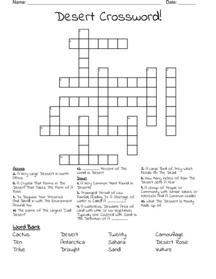 Relief from the desert? Crossword Clue