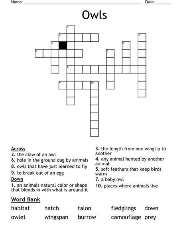 Repeated question from an owl? Crossword Clue