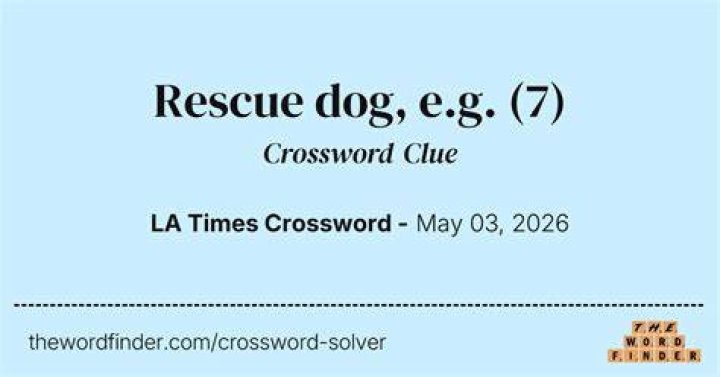 Rescue dog, for one Crossword Clue