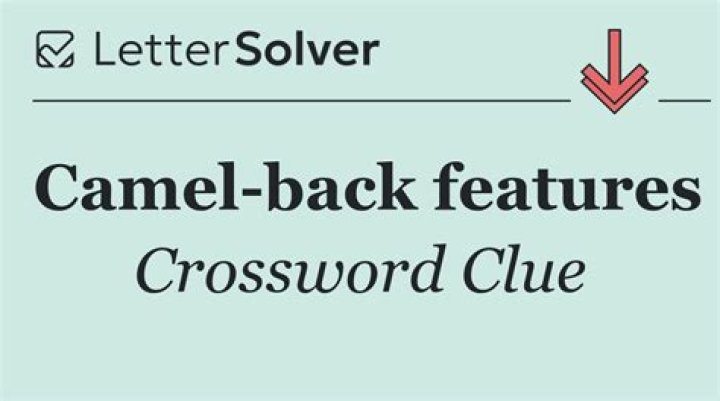 Rest spot for a camel Crossword Clue