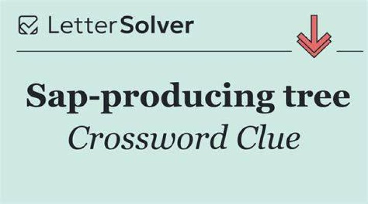 Sap Crossword Clue
