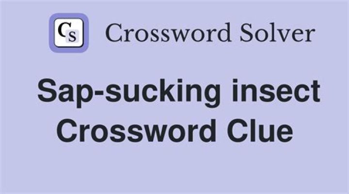 Sap-sucking bugs Crossword Clue