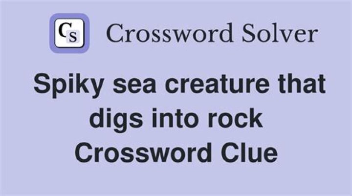 Sea foams Crossword Clue