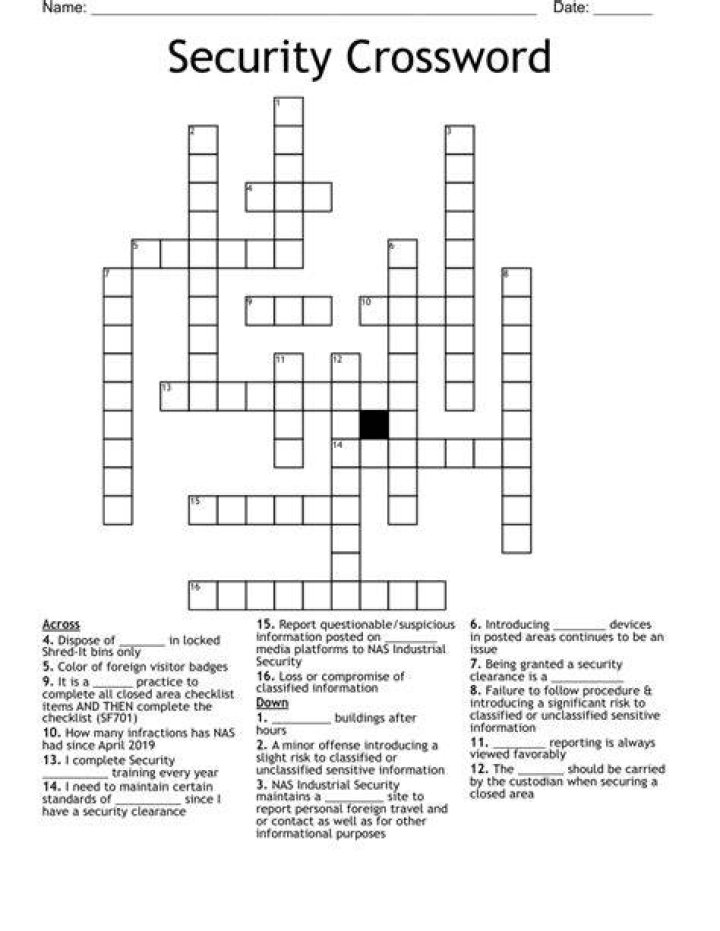 Security ___ Crossword Clue