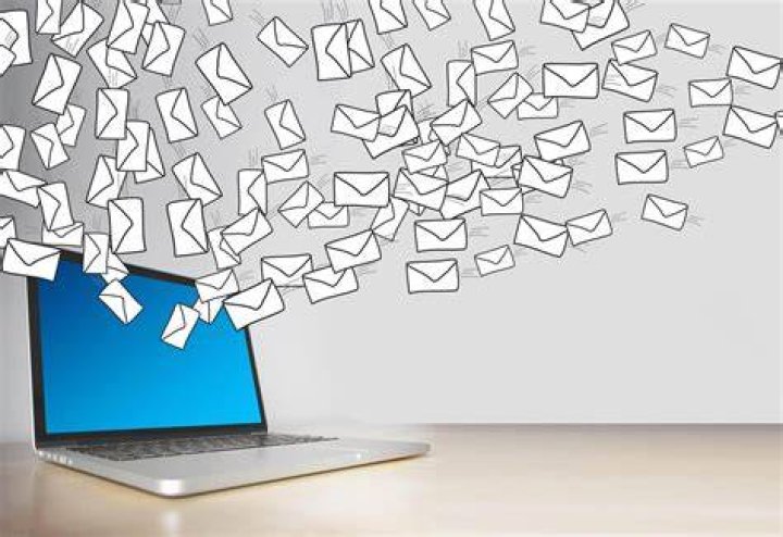 Send too many emails Crossword Clue