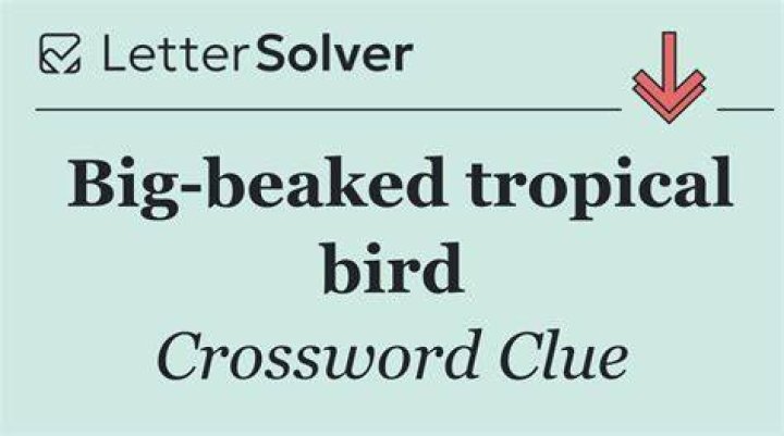 Short-beaked bird Crossword Clue