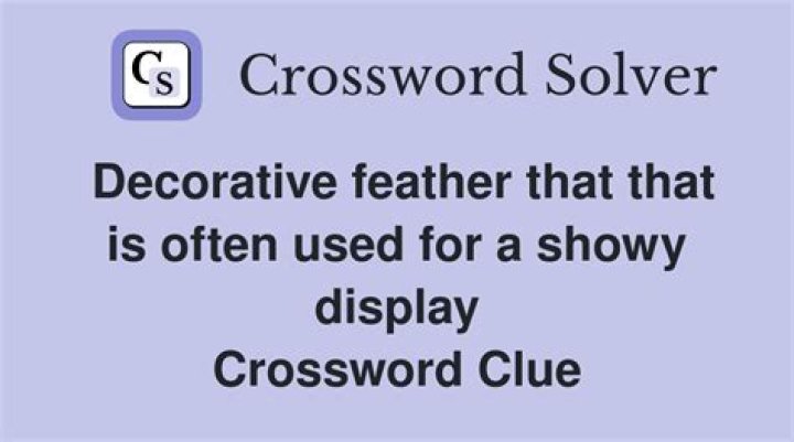 Showy feather Crossword Clue