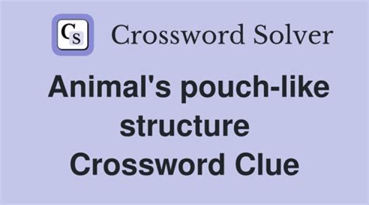 Small pouch Crossword Clue