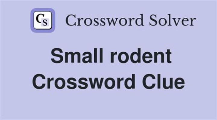 Small rodent Crossword Clue