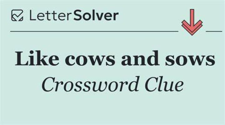 Sows and cows Crossword Clue