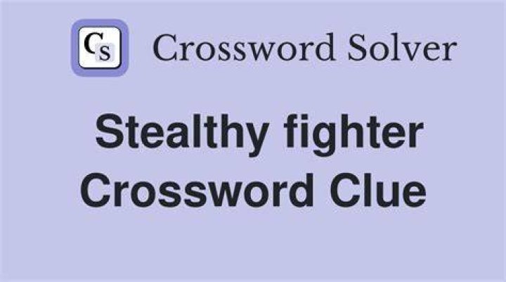 Stealthy fighter Crossword Clue