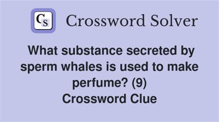Stuff of little substance Crossword Clue