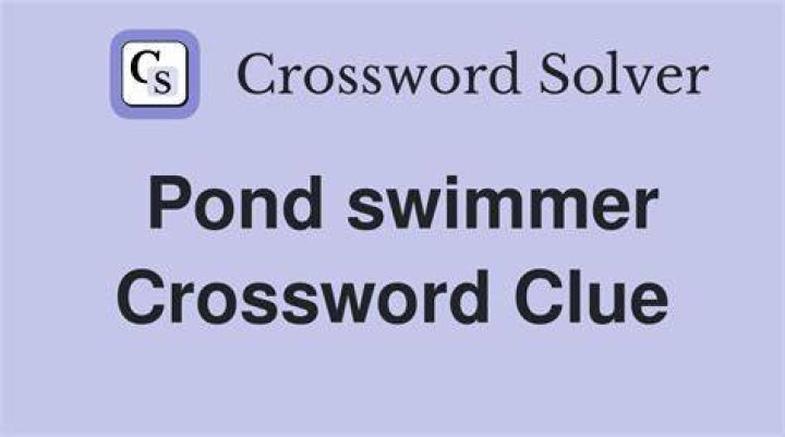 Swimmer in an ornamental pond Crossword Clue