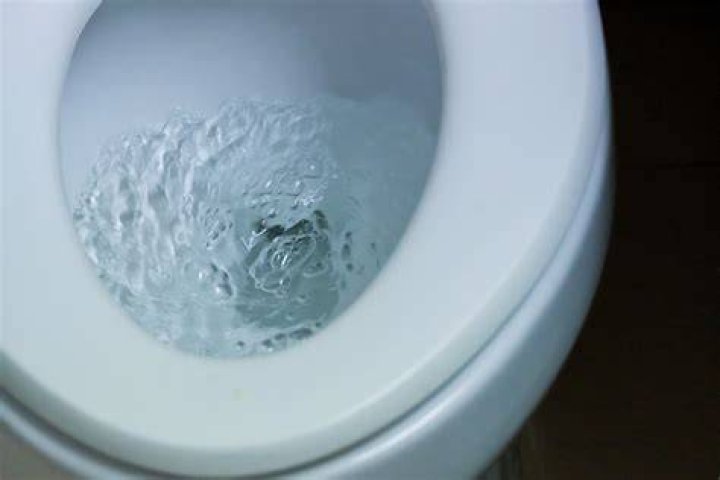 Swirl in a toilet bowl, say Crossword Clue