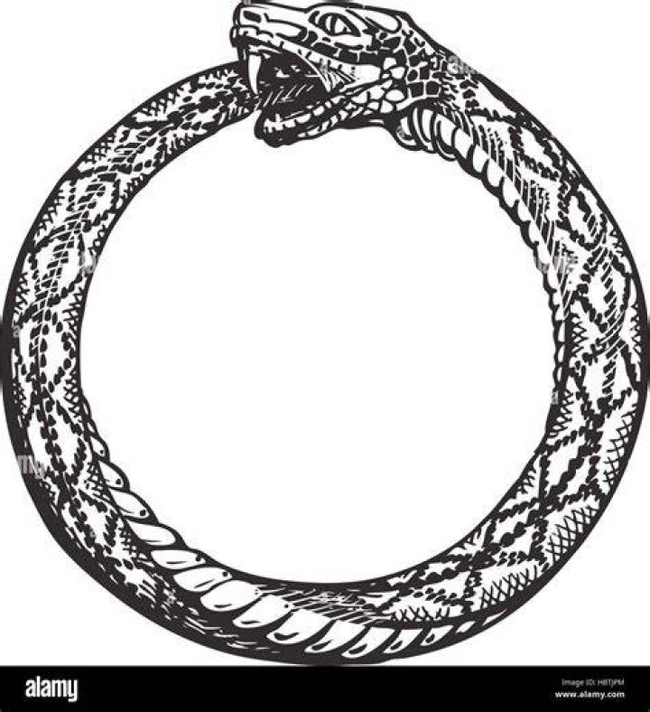 Symbol depicting a snake swallowing its tail Crossword Clue