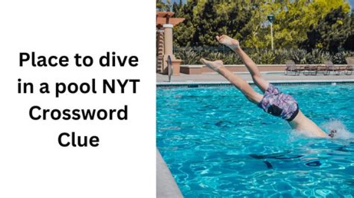 Take a dive, maybe Crossword Clue