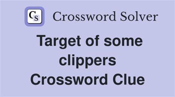 Target for clippers Crossword Clue