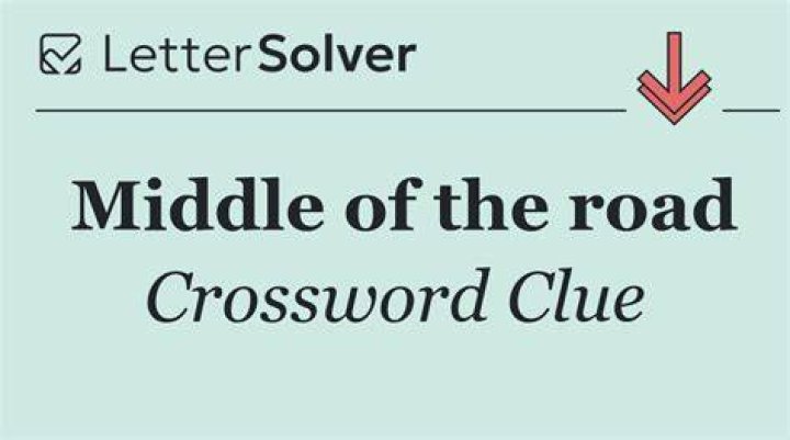 They have springs in the middle Crossword Clue