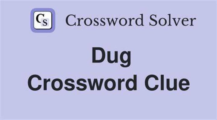 They may be dug in Crossword Clue