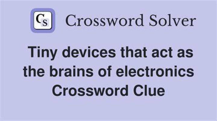 Tiny orbiters Crossword Clue