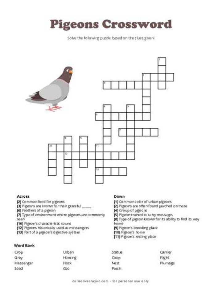 Traditional habitats for pigeons Crossword Clue