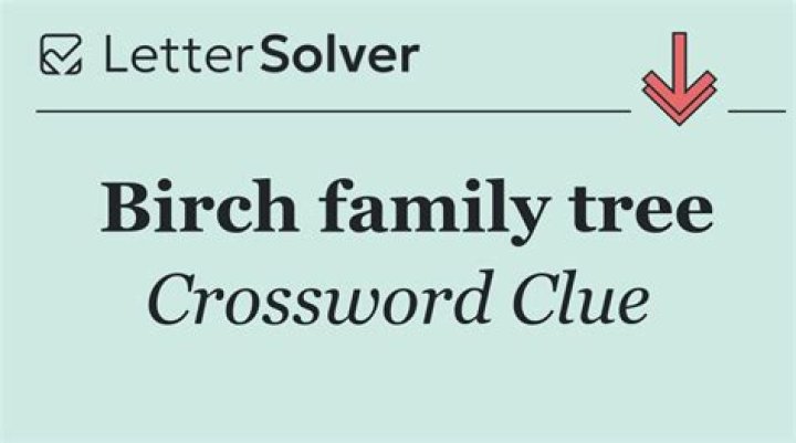 Tree in the birch family Crossword Clue