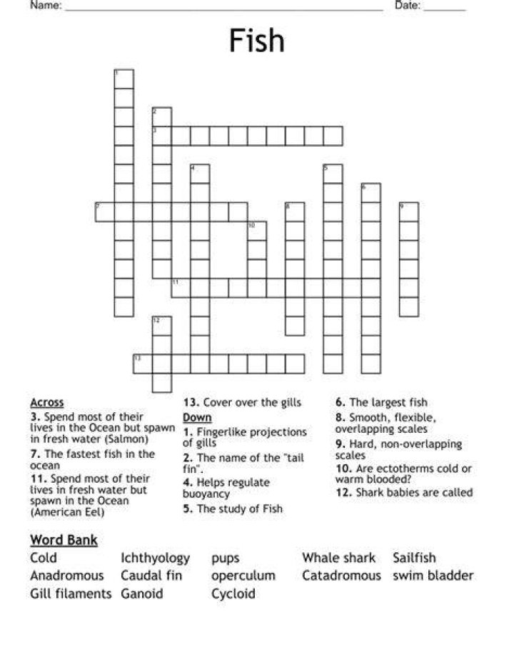 Twisty fish Crossword Clue