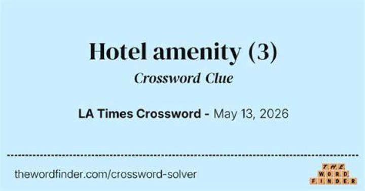 Uncommon amenity on an airplane Crossword Clue