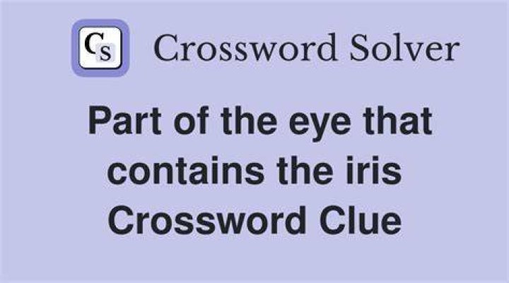 Unit of the eye containing the iris Crossword Clue