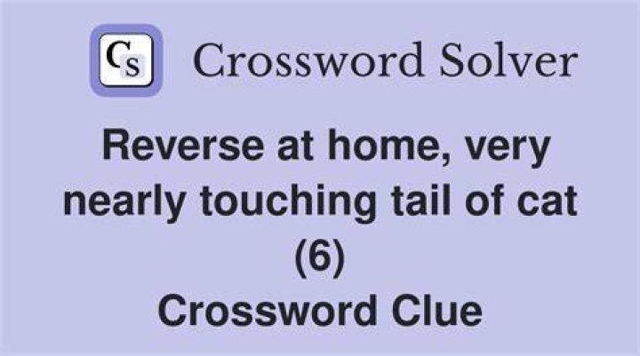 Very nearly resemble Crossword Clue