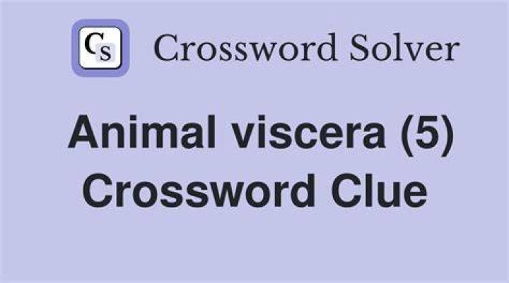 Viscera Crossword Clue